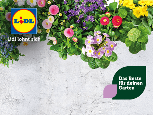 Lidl ParallaxAd April 2024